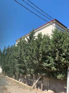 Rent, villa, 8 room, 450 m², Baku, Absheron r.